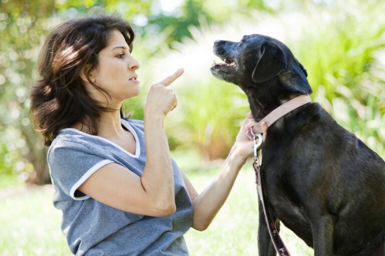 Dear Abby: How do I tell my family they can't bring dogs into my house?

