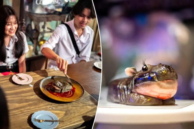 Take off your head! Moo Deng is cake - and fans have mixed feelings: 'Straight to jail'

